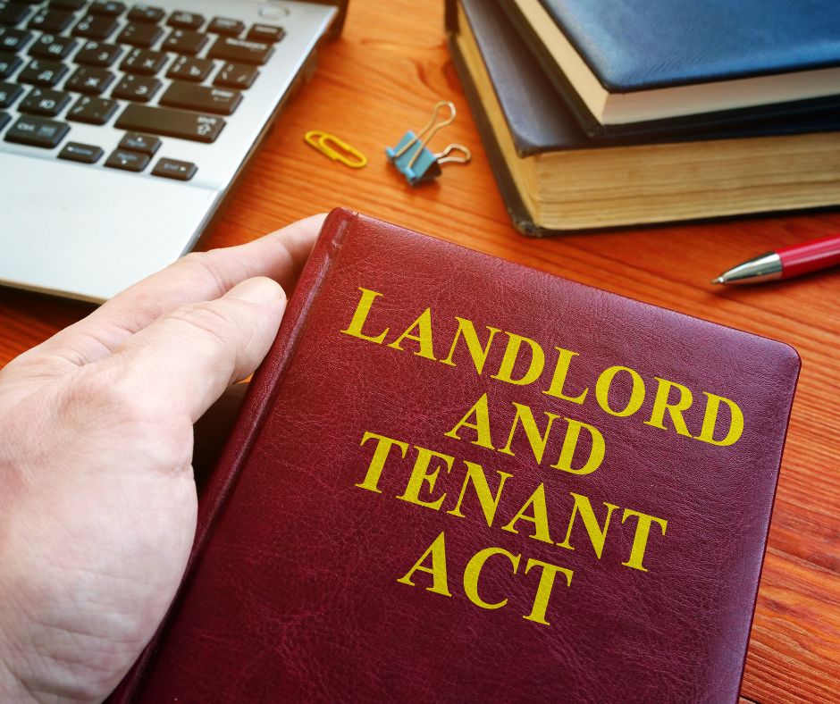 landlord and tenant act and damp mould